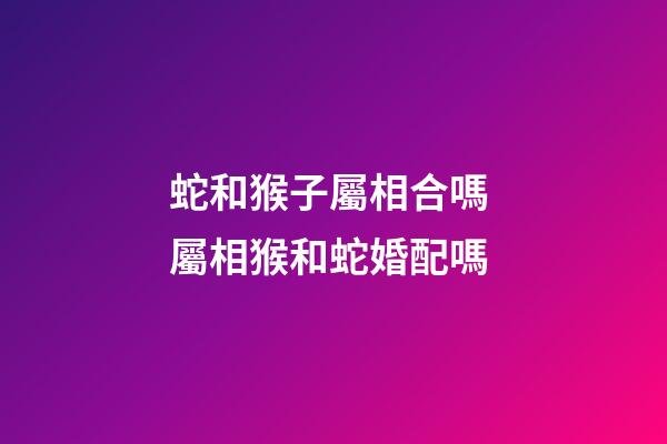 蛇和猴子屬相合嗎 屬相猴和蛇婚配嗎-第1張-觀點-玄機派